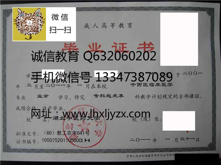 湖北中医药大学 拷贝.jpg