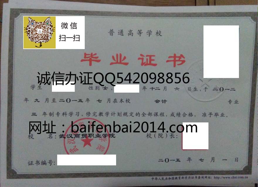 武汉商贸职业学院2015 拷贝.jpg