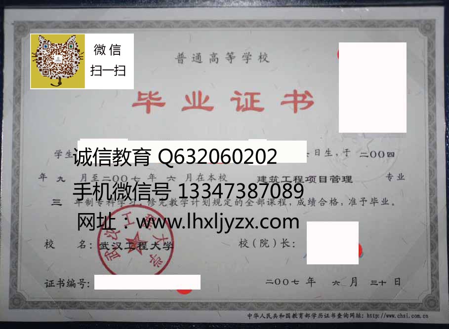 武汉工程大学样本2007 拷贝.jpg