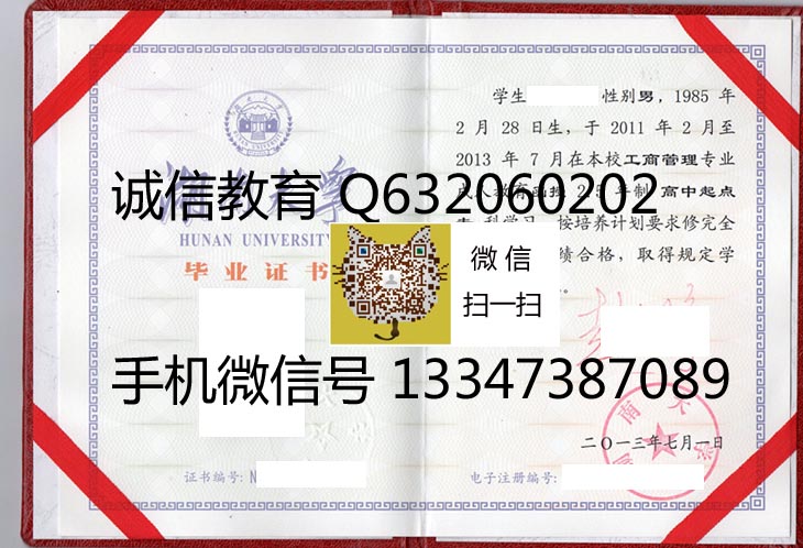湖南大学2013 拷贝.jpg
