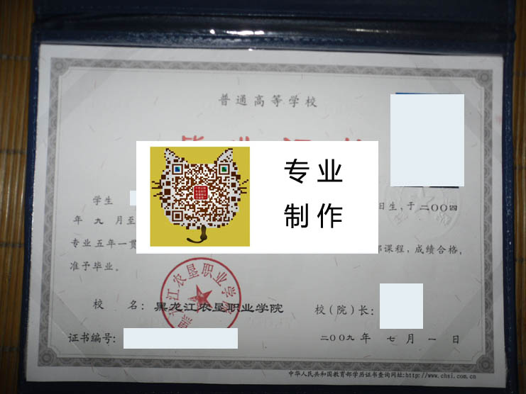 黑龙江农垦职业学院2009 拷贝.jpg