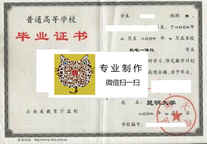 昆明大学2006 拷贝.jpg